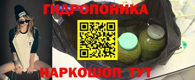 шишки Нальчик