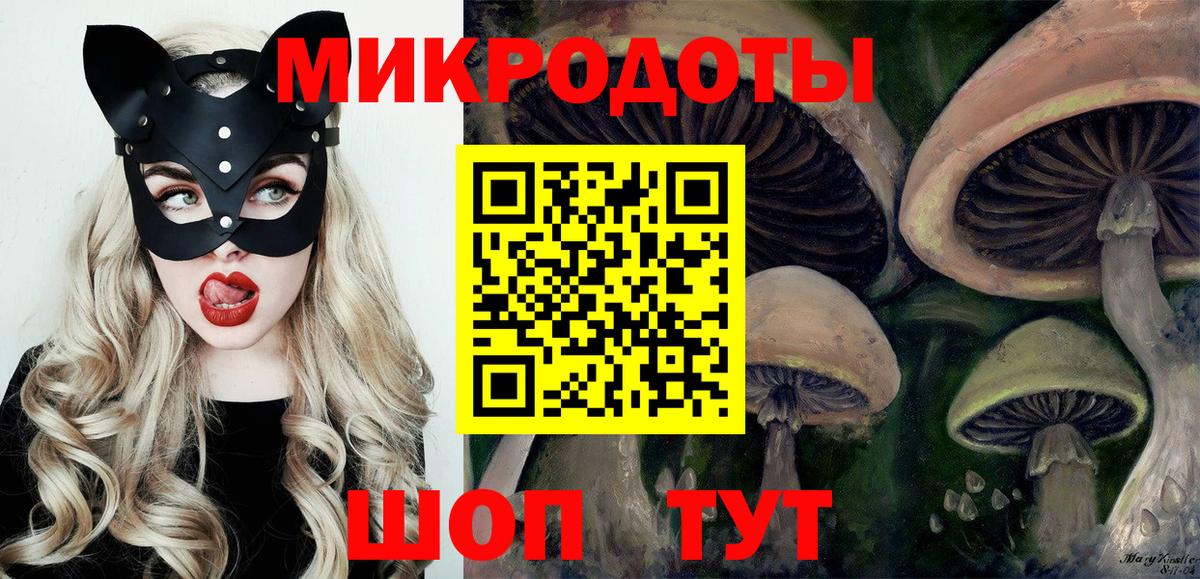Псилоцибиновые грибы Cubensis  Вход с VPN  Фурманов 