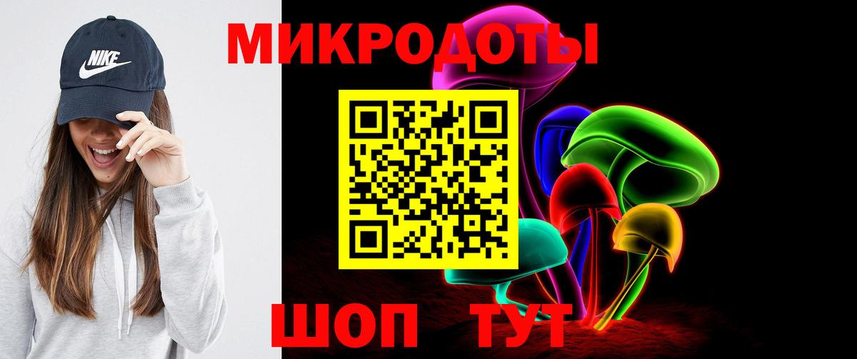 Галлюциногенные грибы Psilocybine cubensis Фурманов